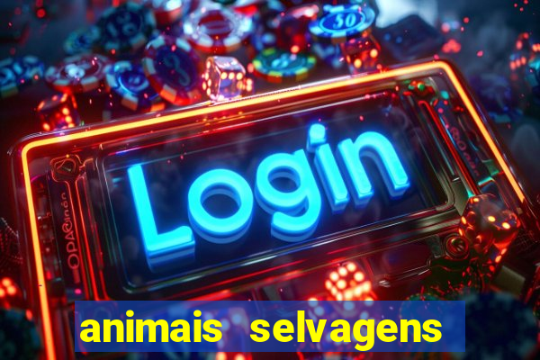 animais selvagens fotos e nomes